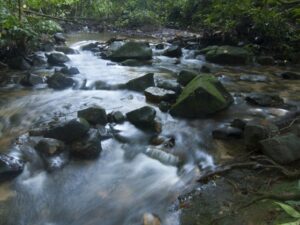 placeimg_640_480_nature (1)